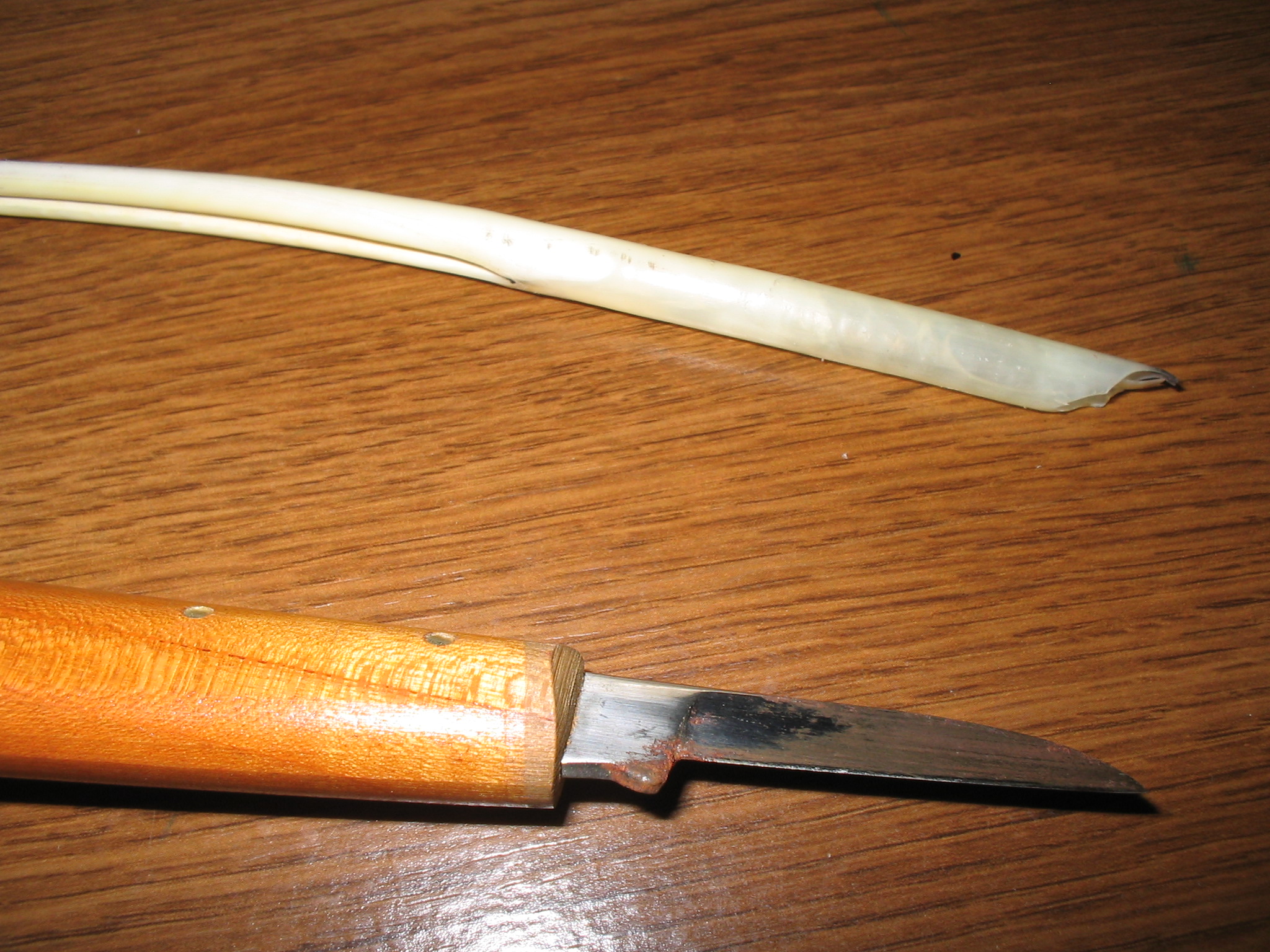 The quill pen - Calligraphy Discussions - The Fountain Pen Network