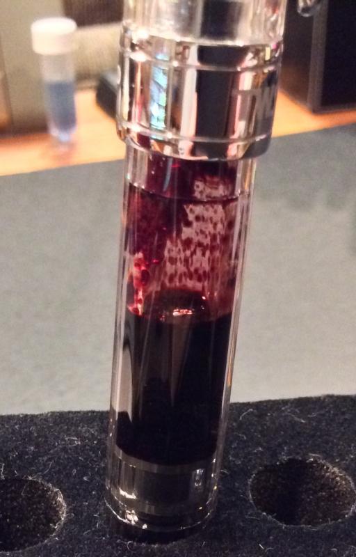 What's Going On In This Pen? (Or, How Do You Tell Mold And Such From Dried Ink?) Fountain