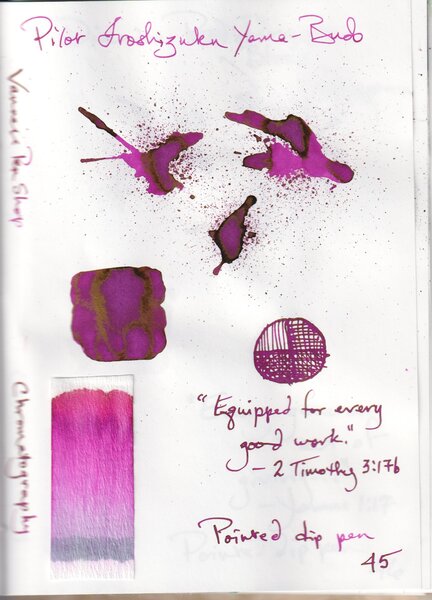 Ink Journal Entry_Iroshizuku Yama-Budo.jpeg