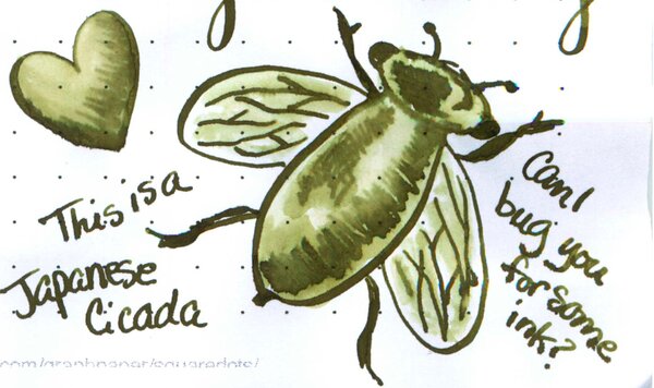 Japanese-Cicada.jpg