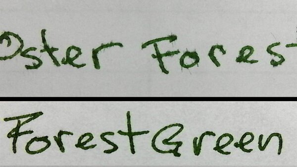 RobertOsterForestGreenAP.jpg