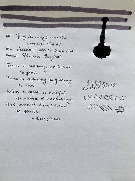 FS niebla, writing sample