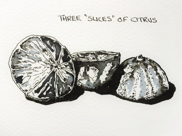 fpn_three_slices_of_citrus_small.jpg