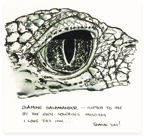 fpn_week_17_diamine_salamander.jpg