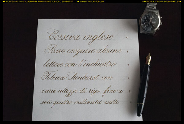 Montblanc 149 Calligraphy and Tobacco Sunburst ©FP.jpg