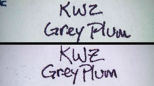 KWZGreyPlumAP.jpg