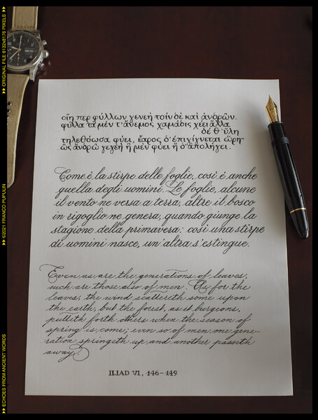 Montblanc 149 CAlligraphy, Echoes.jpg