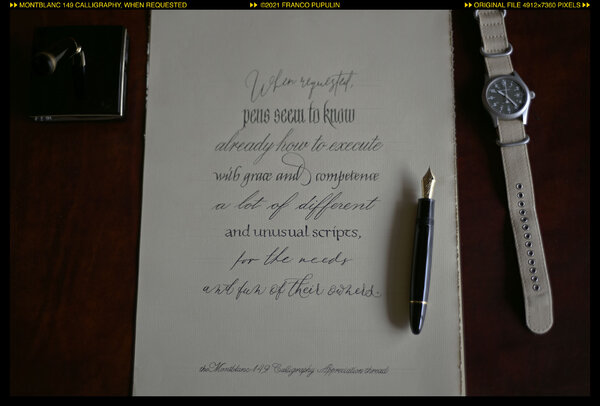 Montblanc 149 Calligraphy, When requested (1)( ©FP.jpg