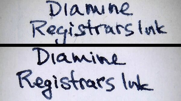 DiamineRegistrarsInkAP.jpg