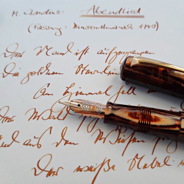 2021 12 21 Diamine Inkvent Brandy Snap 4.jpg