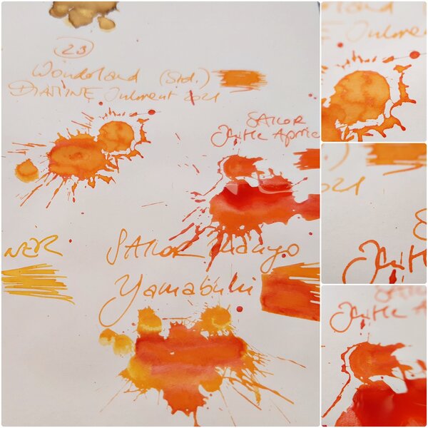 2021 12 23 Diamine Inkvent  Wonderland Vgl Sailor Jentle Apricot.jpg