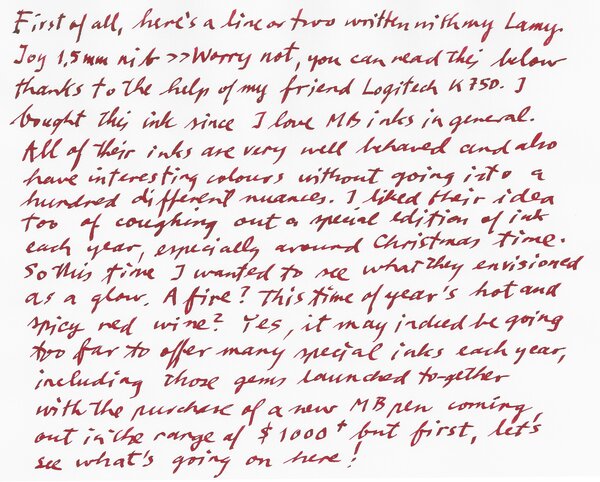 Winter Glow_Lamy.jpg