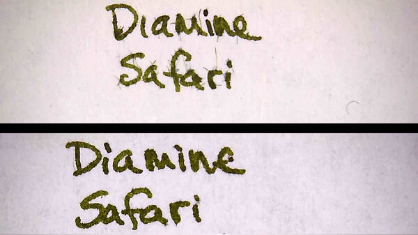 DiamineSafariAP.jpg