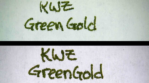 KWZGreenGoldAP.jpg