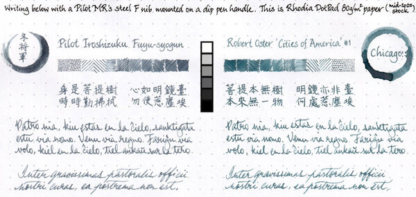 Pilot Iroshizuku Fuyu-syogun vs Robert Oster Chicago