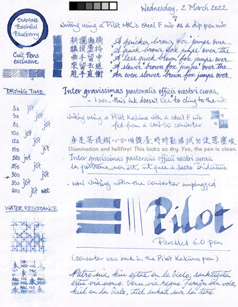 Diamine Bashful Blueberry ink review sheet