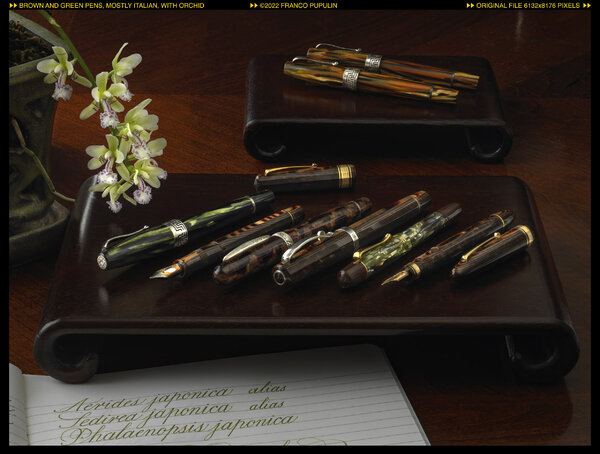 Bown ang green pens, mostly Italian ©FP.jpg