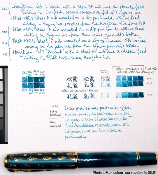 Pilot Iroshizuku Syo-ro vs Ku-jaku