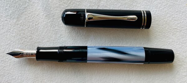 Pelikan M101N Grey Blue - overview.jpg