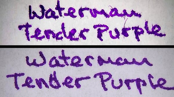 WatermanTenderPurpleAP.jpg