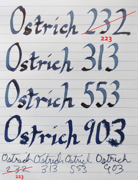 ostrich_rhodia_corrected.jpeg