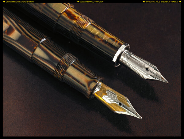 Omas Milord Arco Brown (7) ©FP.jpg