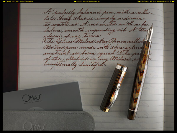 Omas Milord Arco Brown (10) ©FP.jpg