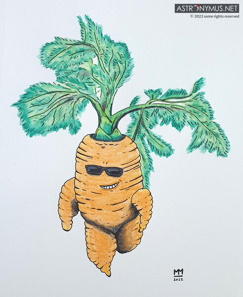 Cool Carrot