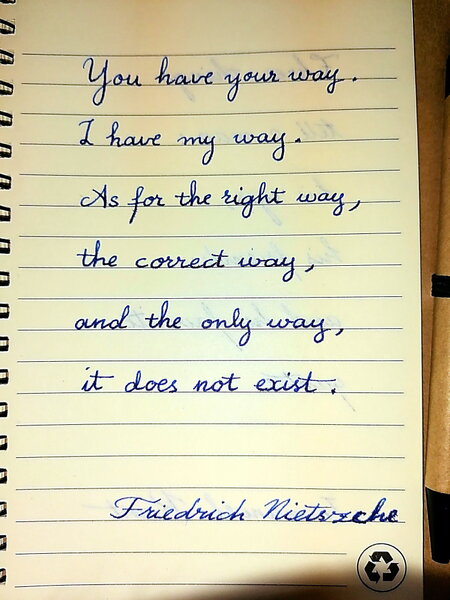 Nietzsche_You_have_your_way...jpg