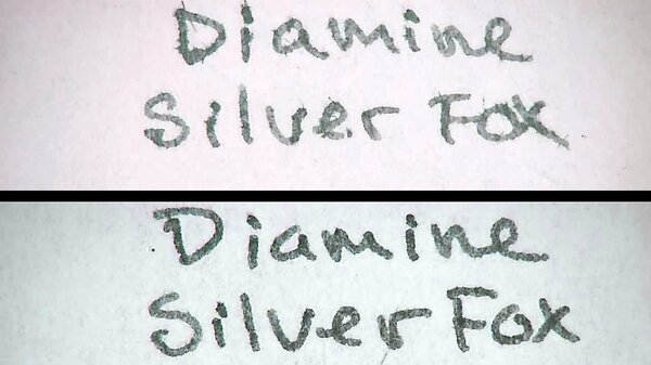 DiamineSilverFoxAP.jpg