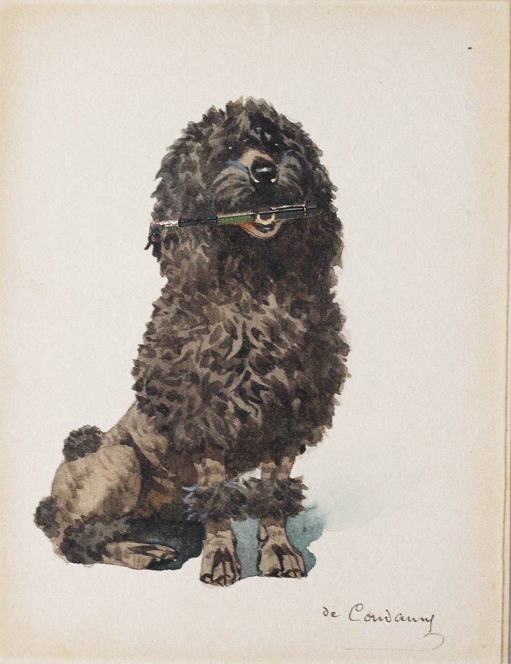 large.141974836_Smartpoodle-X2.jpg.1d78808c930467e91de02dbc0e486352.jpg