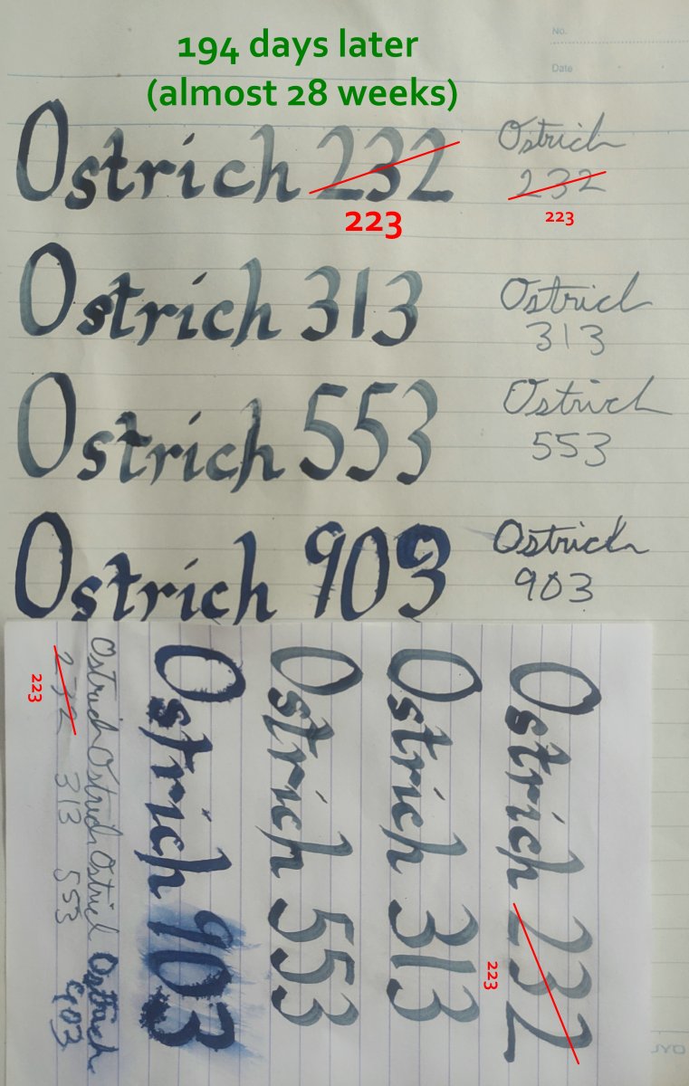 Ostrich Blue-Black inks