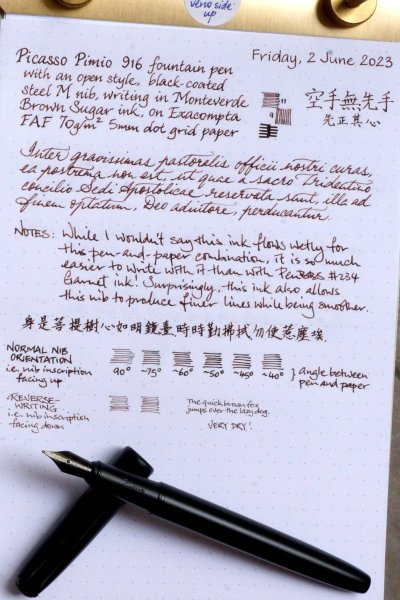 Picasso Pimio 916 Darkest Night with M nib