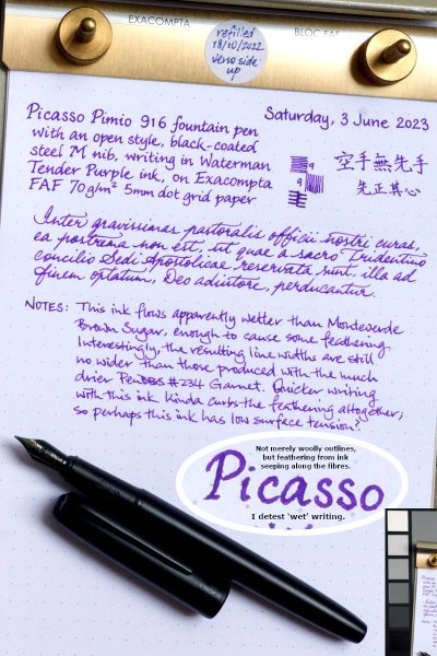 Picasso Pimio 916 Darkest Night with M nib