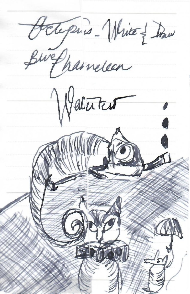 large.watertest-Chamelon-1.jpeg.d7f9bbc7df922a4872757ca5801f19e8.jpeg