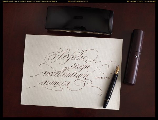 Montblanc 149 Calligraphy, Perfectio saepe excellentium inimica (2) ©FP.jpg