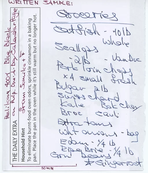 Sandy1 review Pelikan 4001 Blue-black - grocery list on pulp.webp