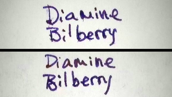 DiamineBilberryAP.jpg