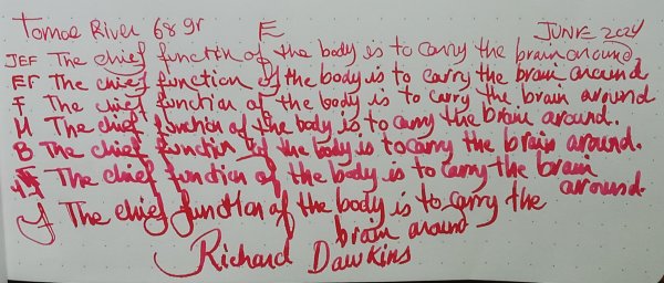 Pilot Red- Photo.jpg