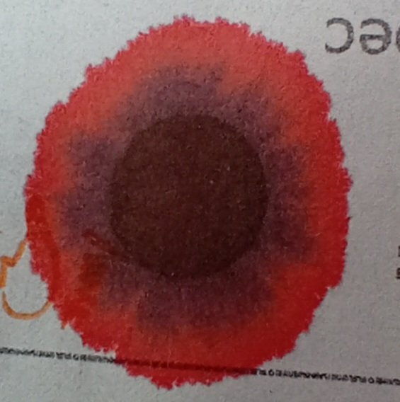 Terre de Feu drop.jpg