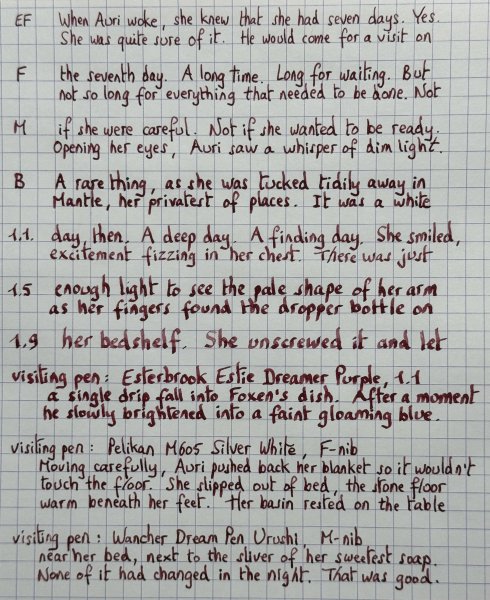 diamine 150 II - burgundy royale - nib sizes.jpg