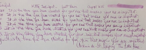 Iroful-Kitty INkpot-Lost Rose-photo.jpg