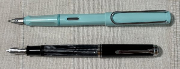 pelikan M605 black tortoise - comparison posted.jpg