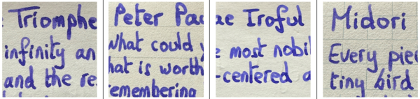 j herbin - iris sagesse - sample text detail.png