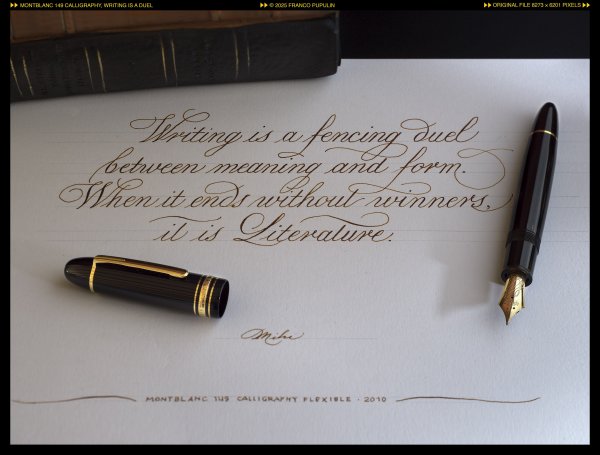 Montlanc 149 Calligraphy, Writing is a duel ©FP.jpg