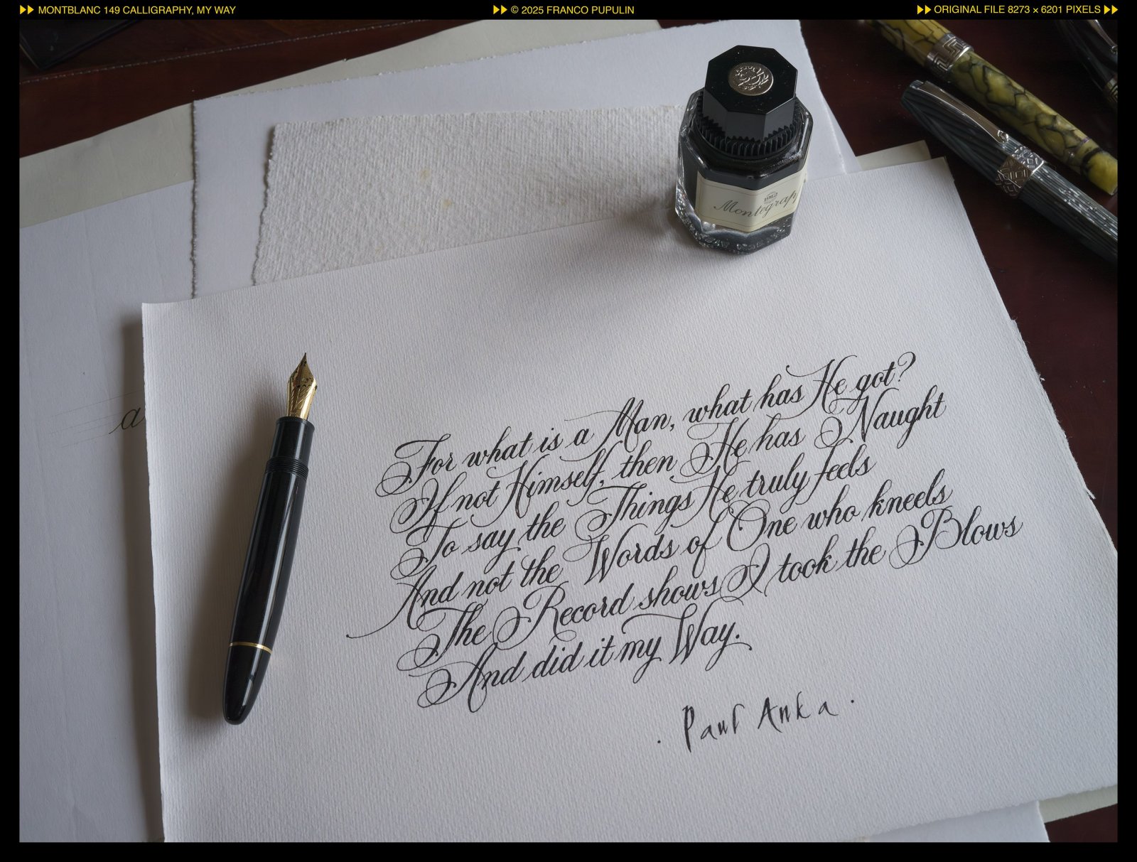 Icones Pupulinianae VI