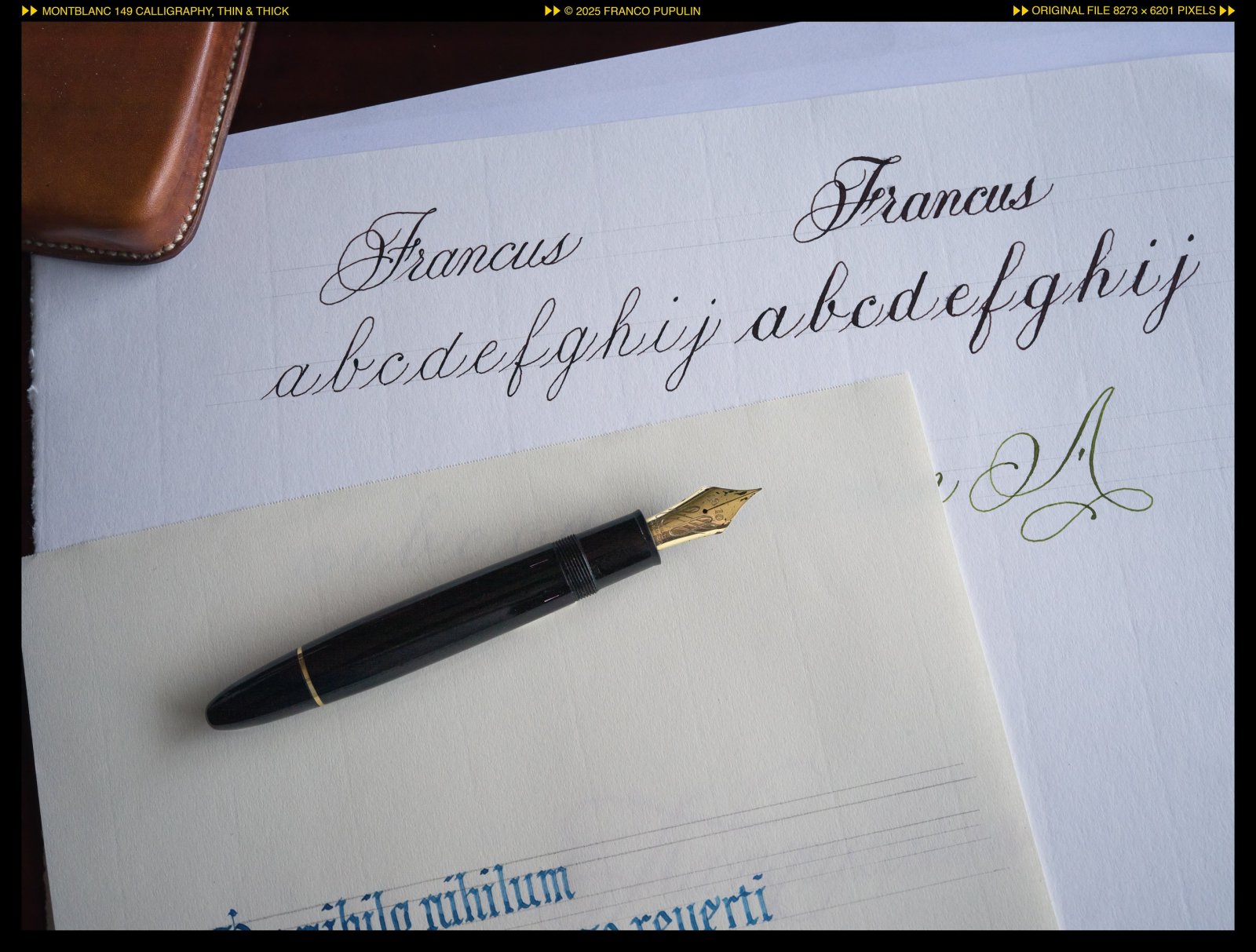 Icones Pupulinianae VI