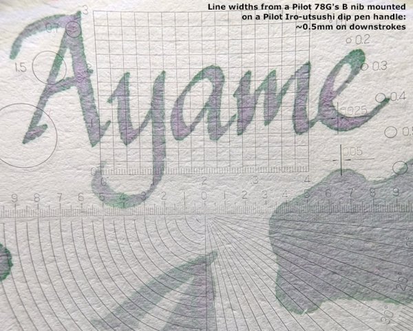 Sailor Manyo Ayame ink written with a Pilot 78G's B nib, shown through a loupe