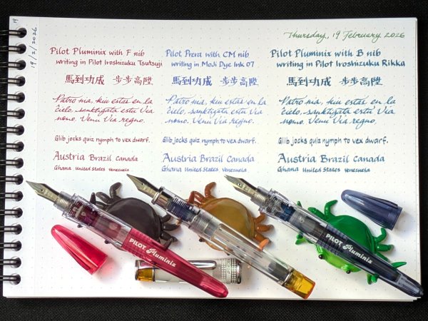 Pilot pens with calligraphy nibs in different width grades