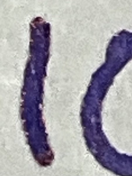 IMG_2569.jpeg
